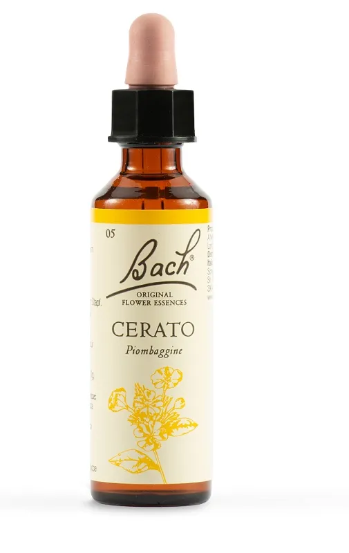 Cerato Bach Orig 20 Ml