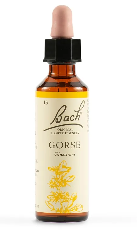 Gorse Bach Orig 20 Ml