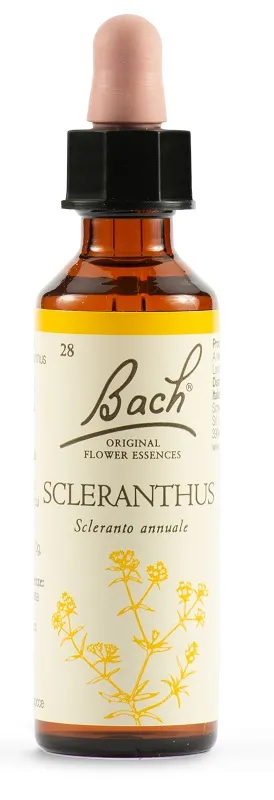 Sclerantus Bach Orig 20 Ml