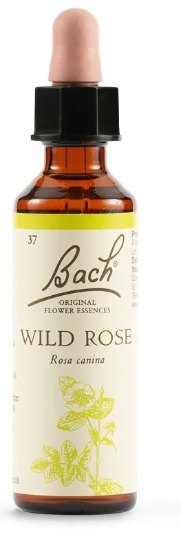 WILD ROSE BACH ORIG 20 ML