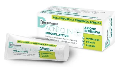 DERMOVITAMINA ACNECLIN IDROGEL 40 ML