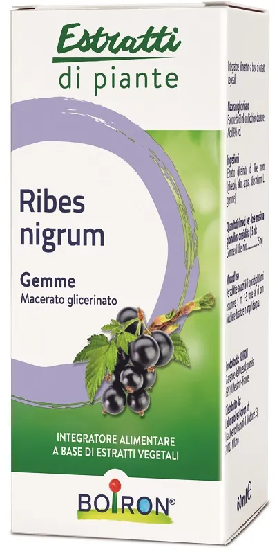 Ribes Nigrum Macerato Glicerico 60 Ml Int