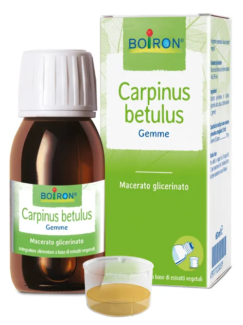 Carpinus Betulus Macerato Glicerico 60 Ml Int