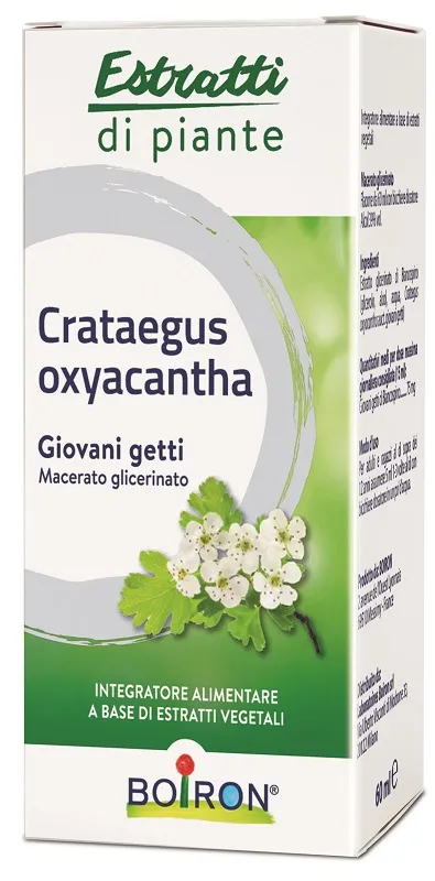 Cratageus Oxyacatha Macerato Glicerolo 60 Ml