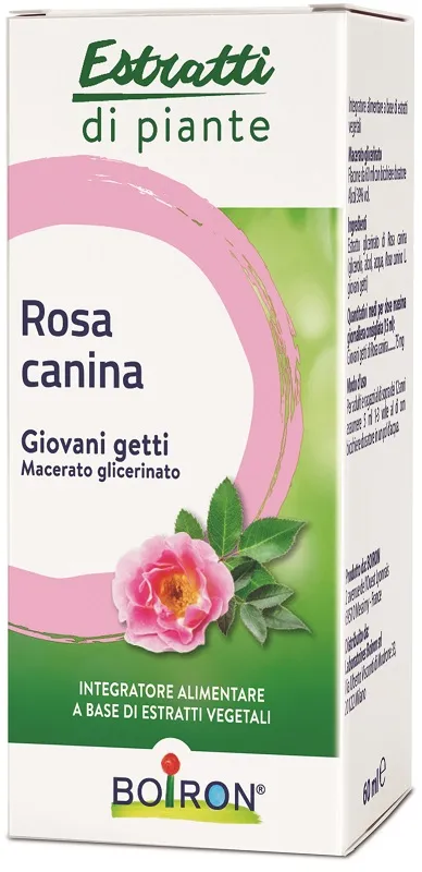 Rosa Canina Macerato Glicerico 60 Ml Int