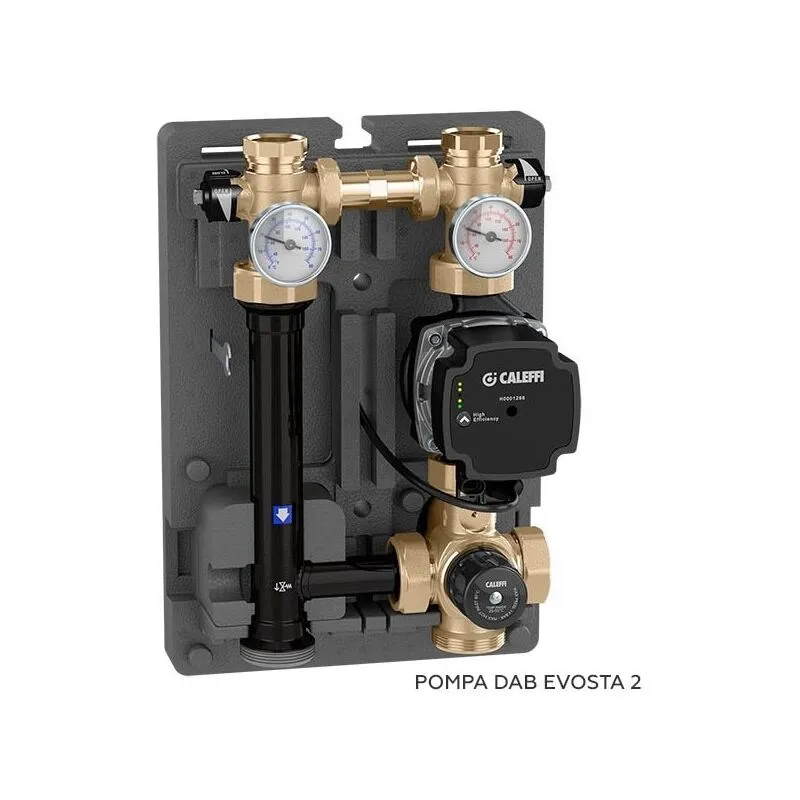 166 Gruppo Regolazione Termostatica Ø1'F Pompa Evosta2 70/130 - 166600HE5 - Caleffi