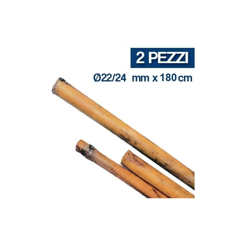 Marca - 2 pz tutore canna bambu bamboo sostegno ortaggi h cm 180 d mm 22/24 (17688/2)