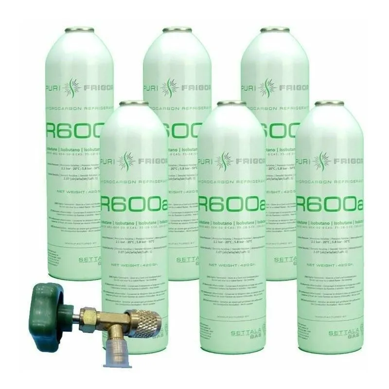 6 bottiglie di gas refrigerante R600 + valvola isobutane da 420gr