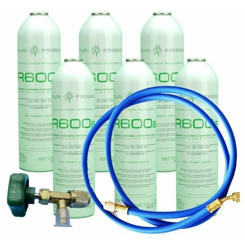 Reporshop - 6 bottiglie di gas refrigerante R600 + tubo flessibile + 420gr valvola di isobutane