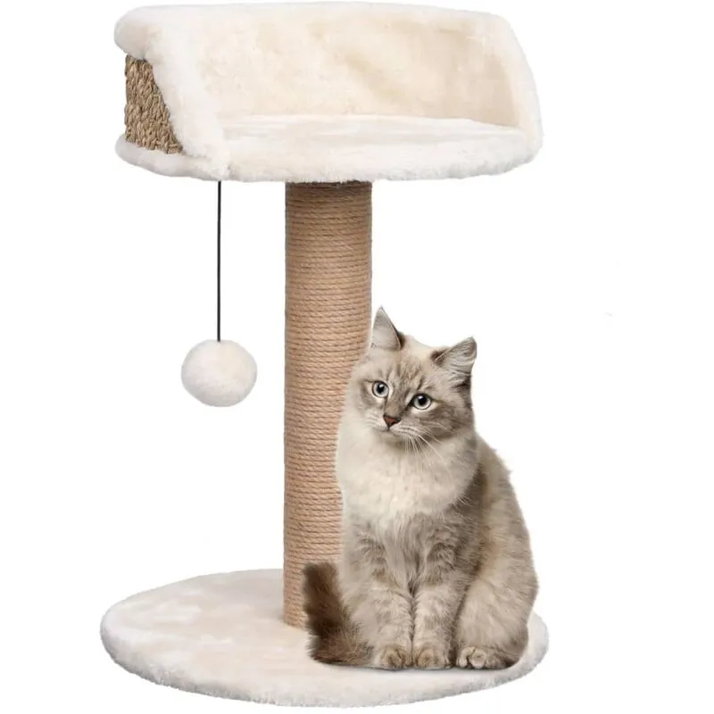 Vidaxl - Albero per Gatti con Palo Tiragraffi 49 cm in Giunco Beige