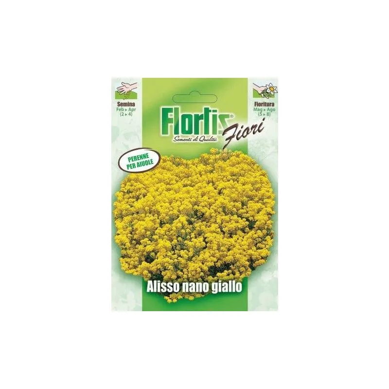 Flortis - alisso nano giallo