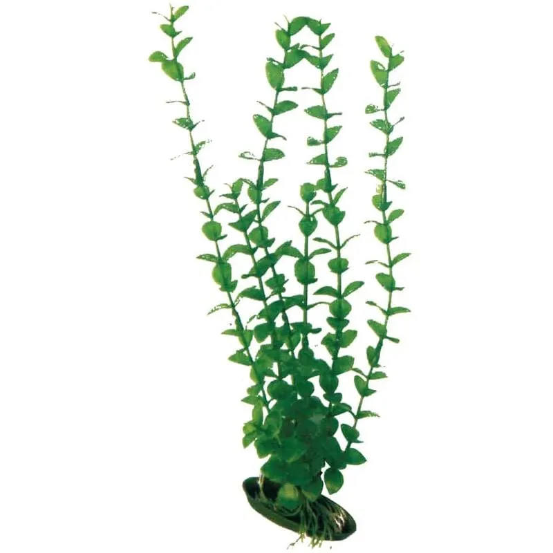 Wave - amtra Plant Classic Rotala sm