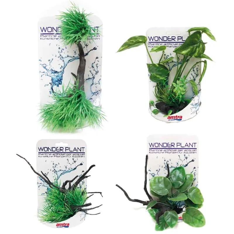 Wonder Plant Series g 20-25 cm amtra