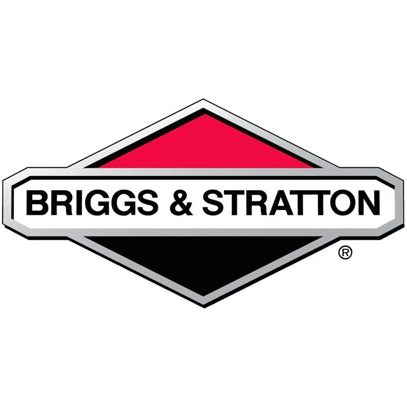 Briggs&stratton - Anello in nylon Briggs e Stratton - 52407MA