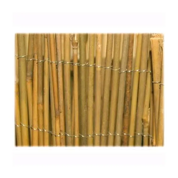 Tenda Arella Mister In Canna Di Bamboo Pulita Dimensione 200X300Cm