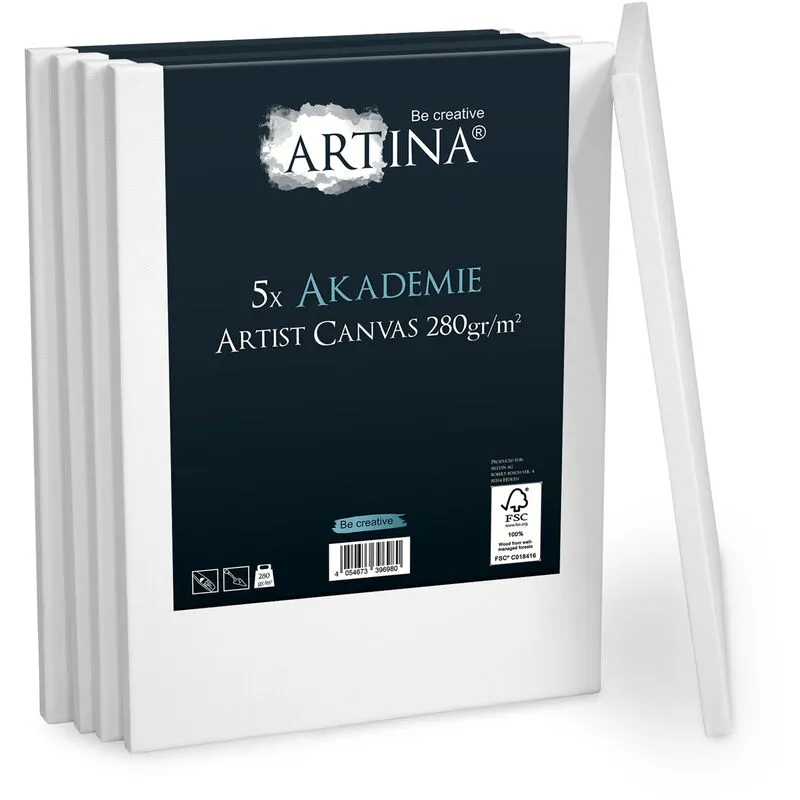 Artina Set da 5 Tele per Pittura Bianche - in 100% Cotone, Akademie - 280 g/m² - intelaiate - per dipingere60cm, 40cm