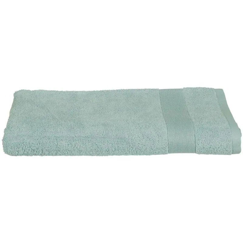 Asciugamano ospite praia in cotone azzurro 30x50cm Atmosphera créateur d'intérieur - Celadon verde