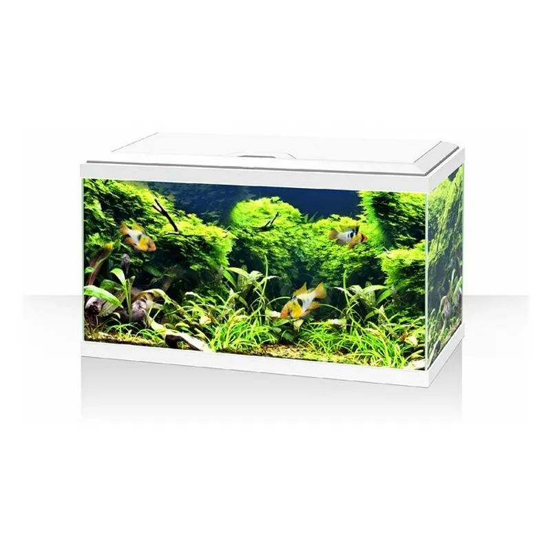 Askoll - Acquario ambiente aqua 60 led bianco