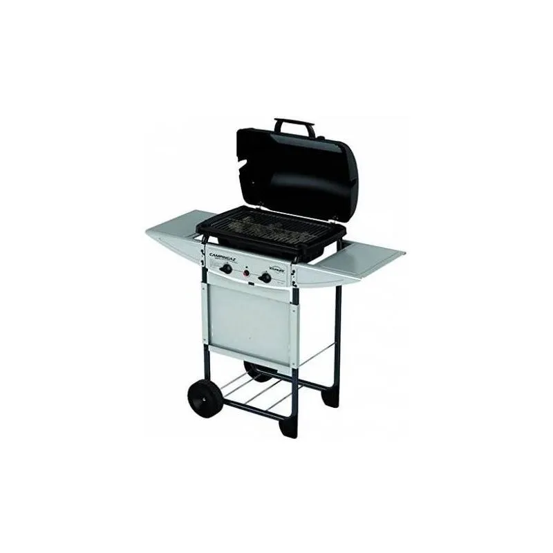 Barbecue Expert Plus 