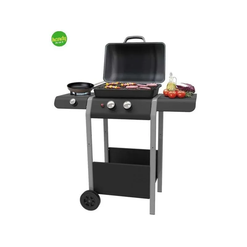 Barbecue ke grill gordon burner a gas e pietra lavica