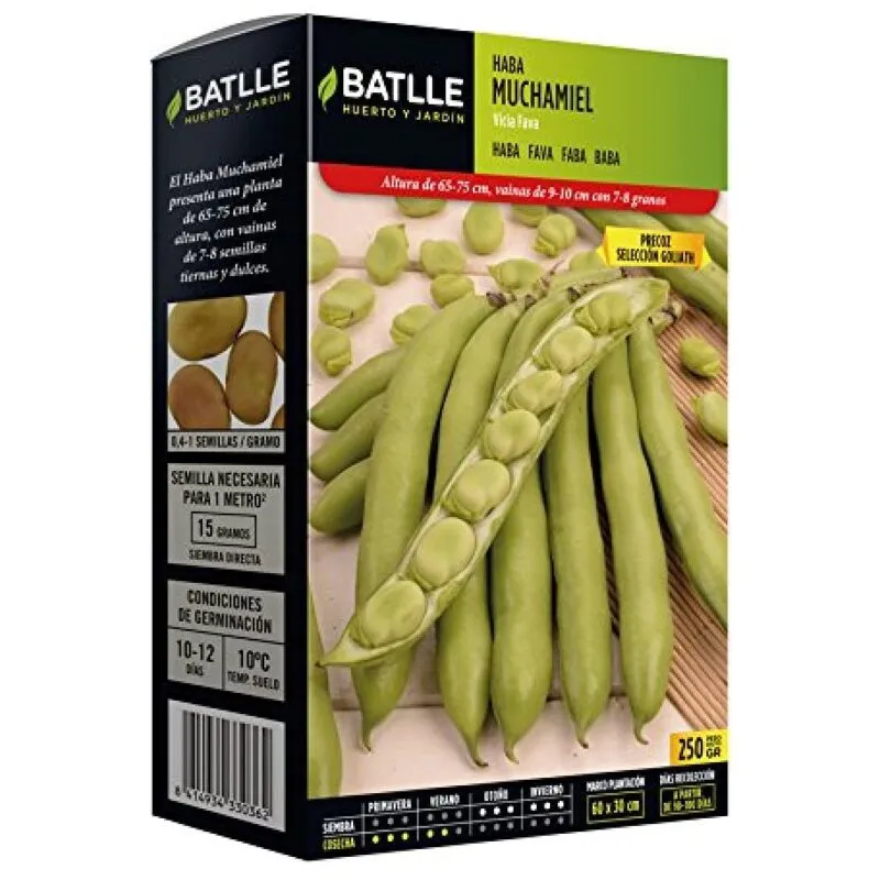 Batlle - Semi di fava