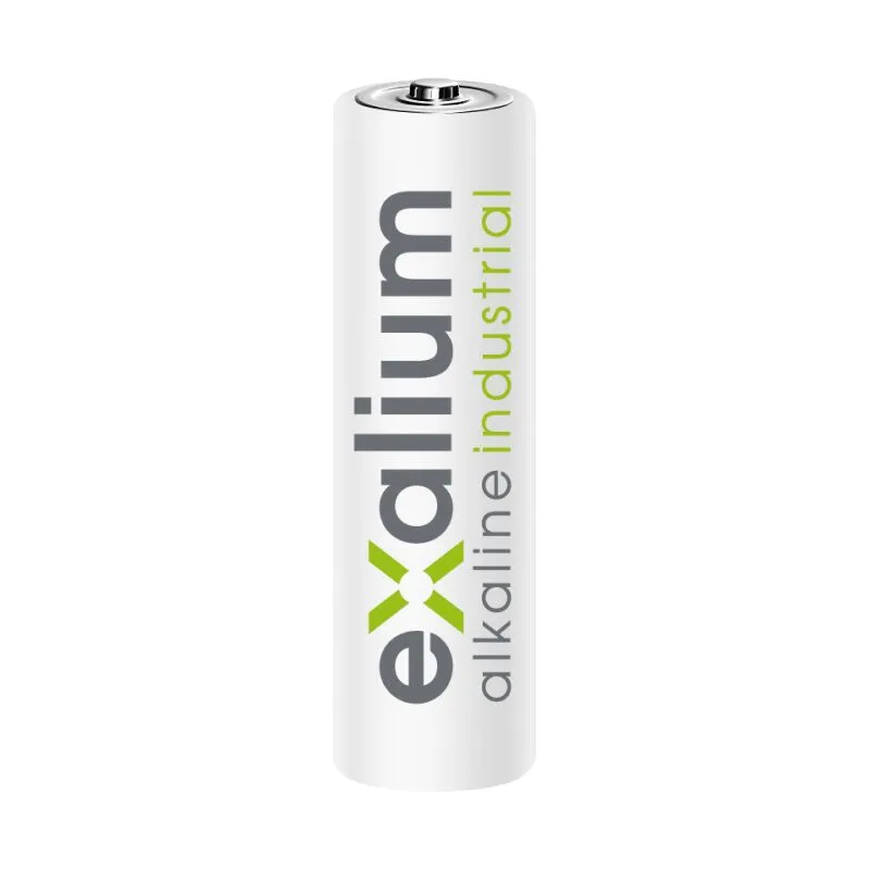 Exalium - Batteria 1.5 v aa LR06 alcaline