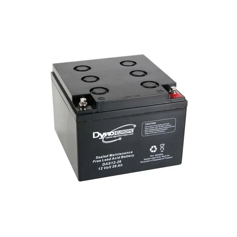 Batteria al piombo 12 v - 26 Ah 165 x 174,5 x 125 mm