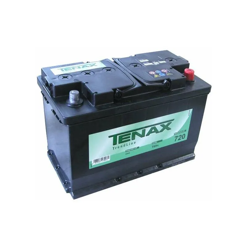 Tenax - Batteria Auto Ah 100 313X175 h 205 T69N