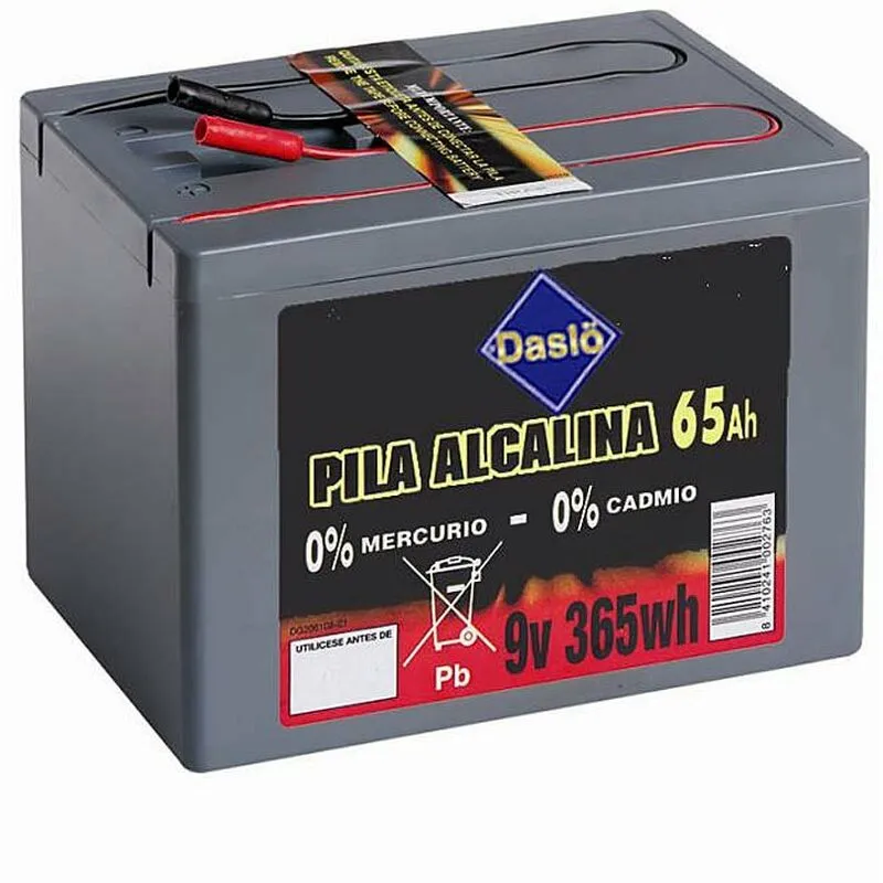 Batteria Daslö alcalina lunga durata 9V 365Wh non ricaricabile