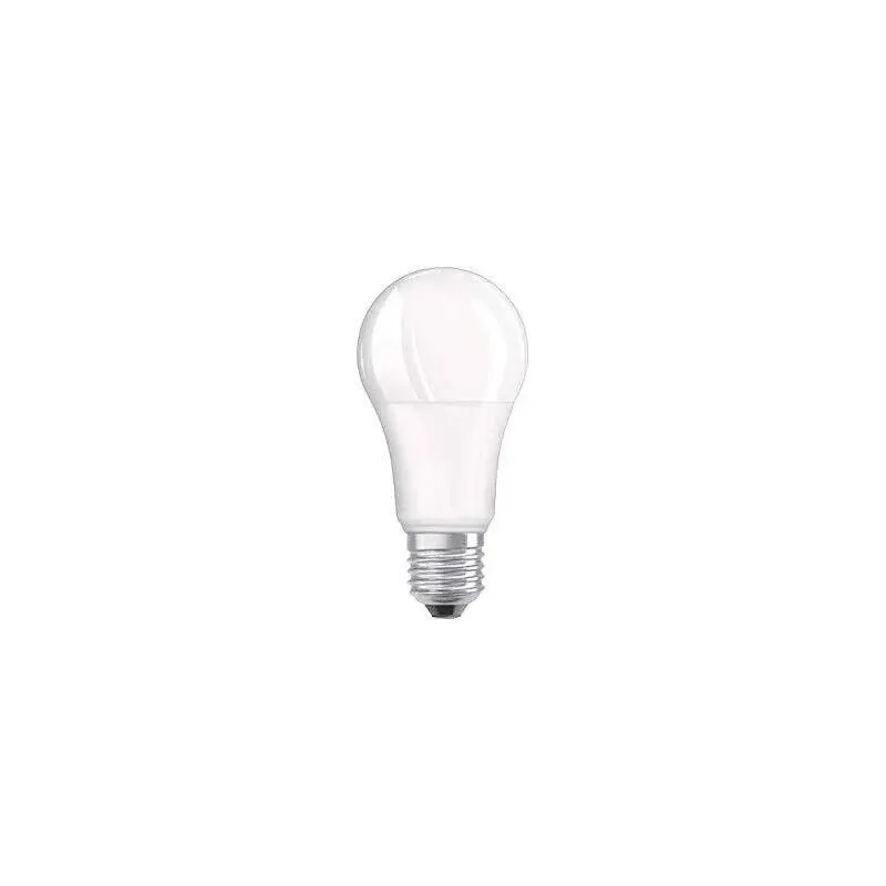 Lampadina led E27 smerigliata standard, 10W, bianco freddo.