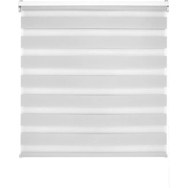 Blindecor - Lira tenda a rullo giorno e notte, colore Argento grigio, tenda per interni 140 x 250 cm (Larghezza x Altezza) Dimensioni del tessuto 137