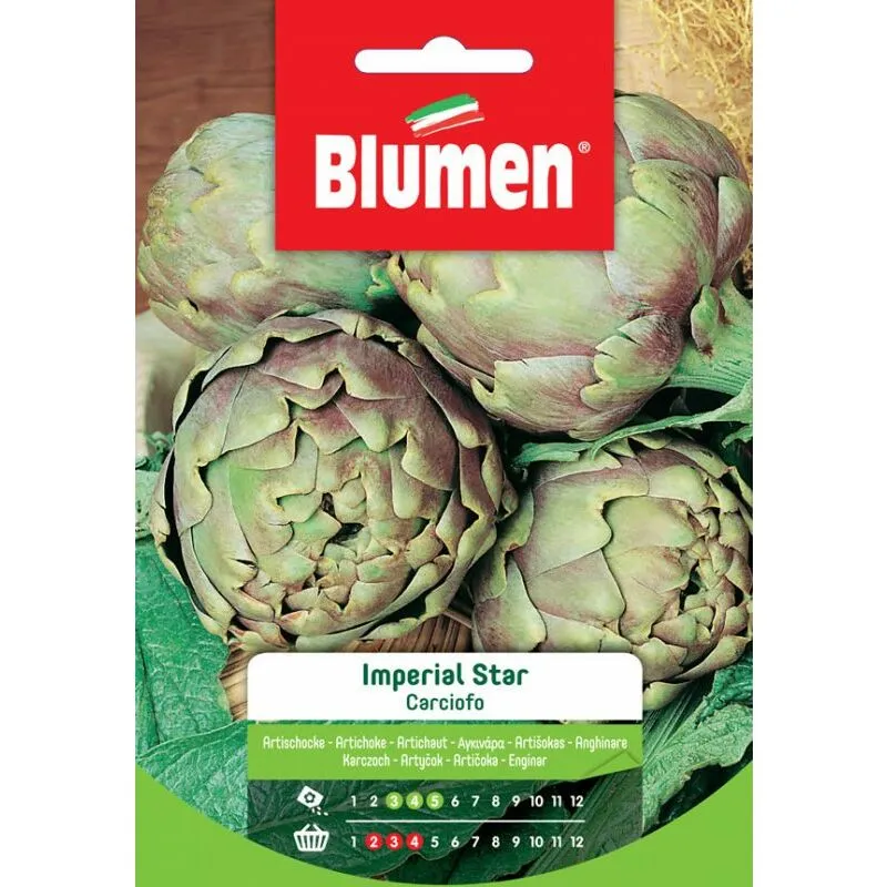 Blumen - semi carciofo romanesco