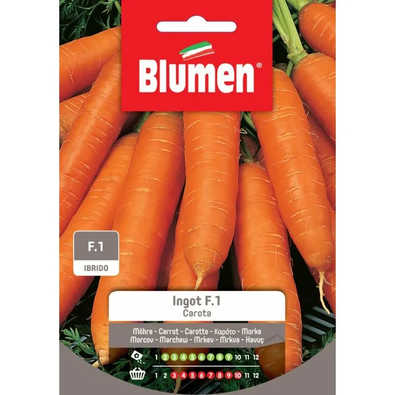 Blumen - semi carota ingot ibrido