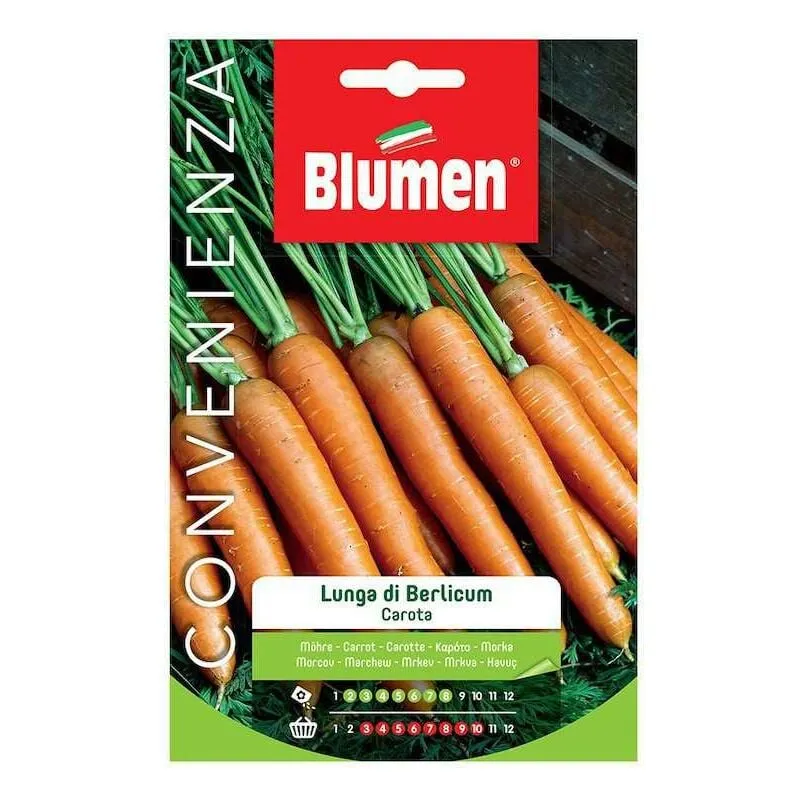 Blumen - semi di carote lunghe maxi orto