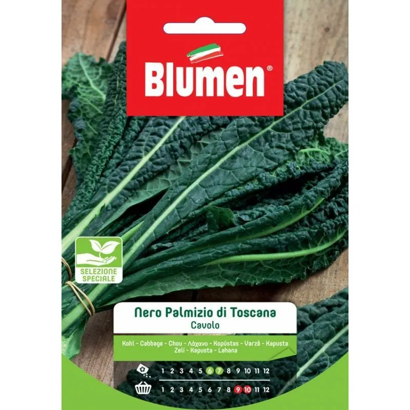 Blumen - Semi di Cavolo Nero Palmizio di Toscana