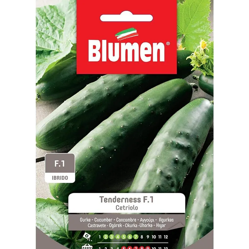 Blumen - semi cetriolo tenderness