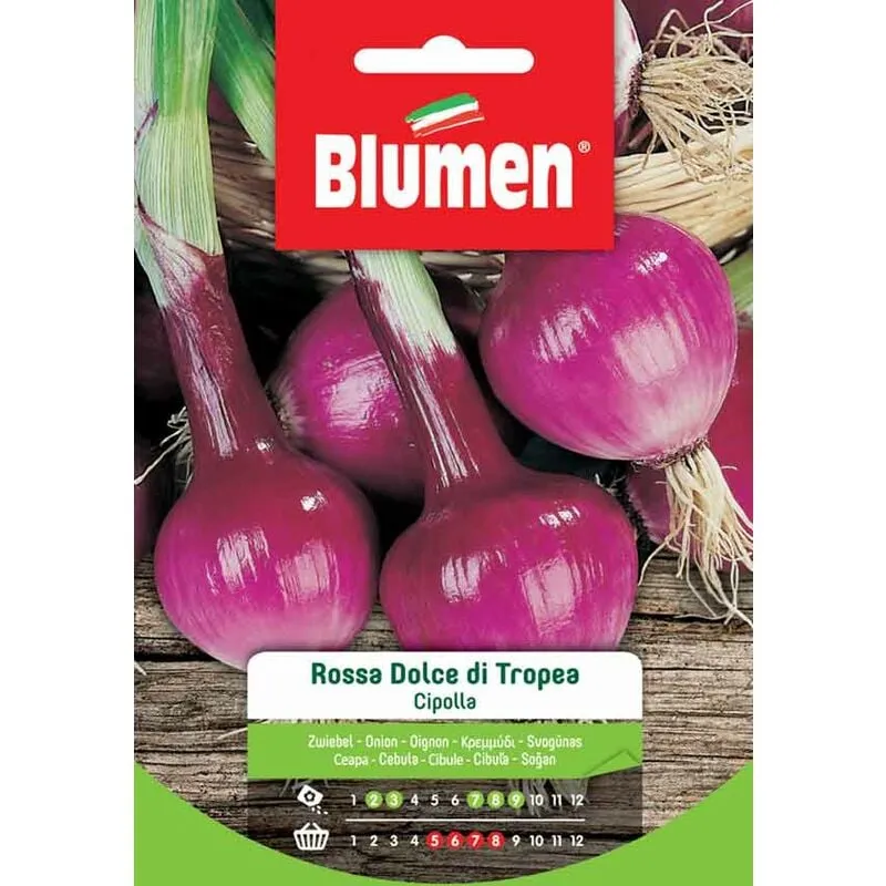 Blumen - semi cipolla rossa dolce di tropea