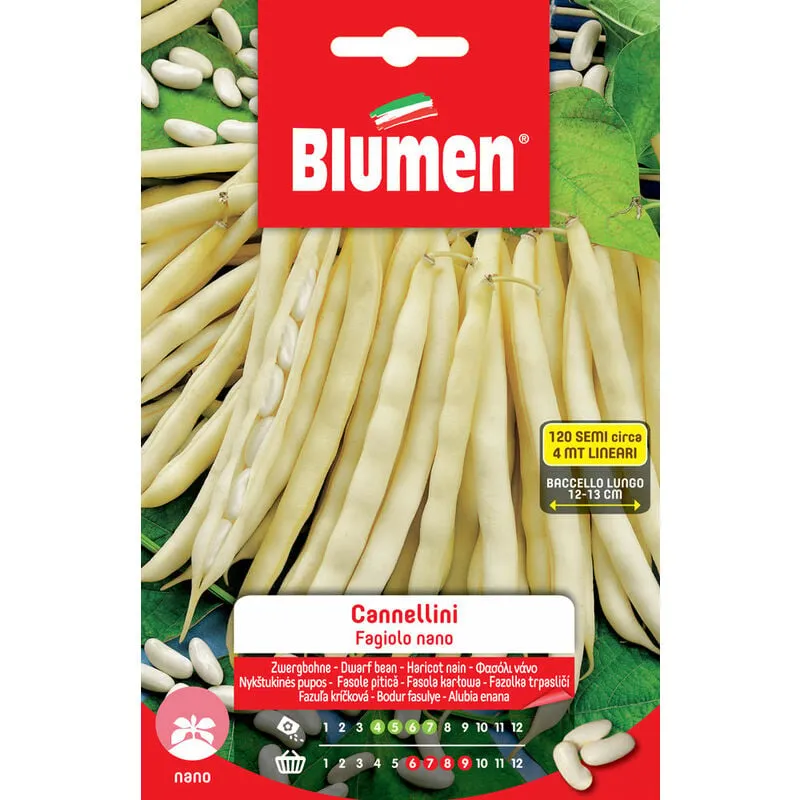 Blumen - semi di fagioli cannellini nani