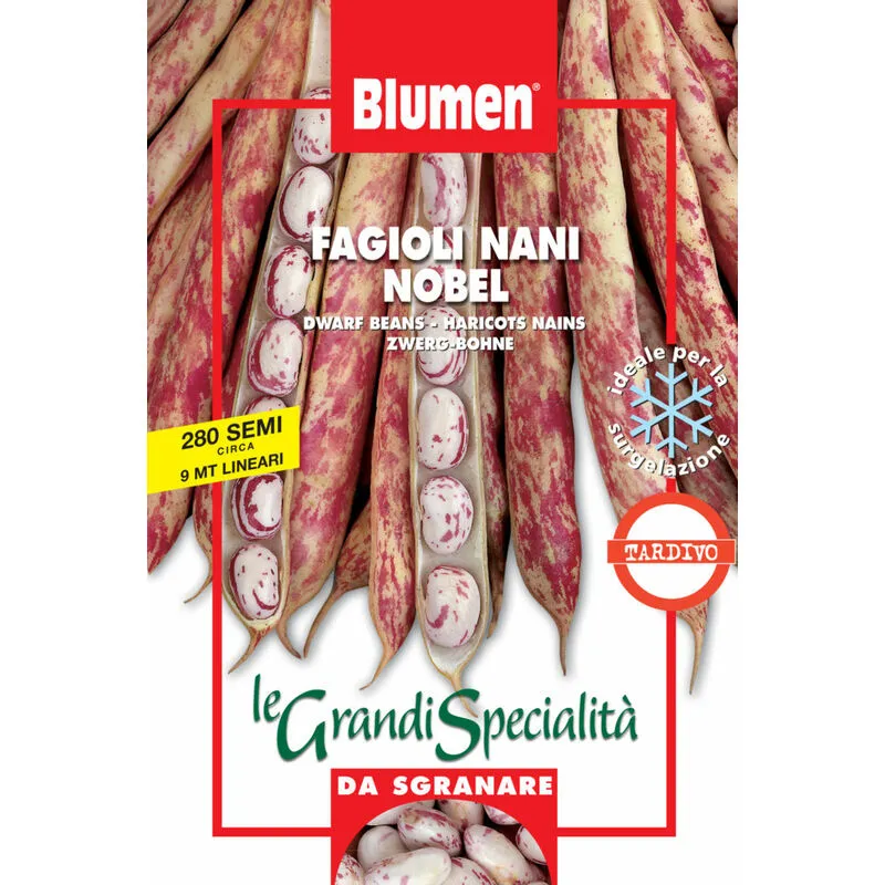 Blumen - semi fagioli nani nobel