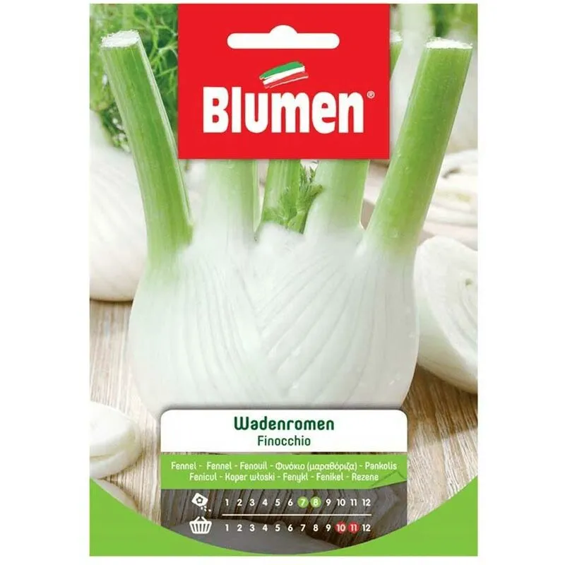 Blumen - semi finocchio wadenromen