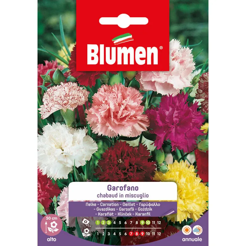 Semi Di Garofano Chabaud Mix Blumen