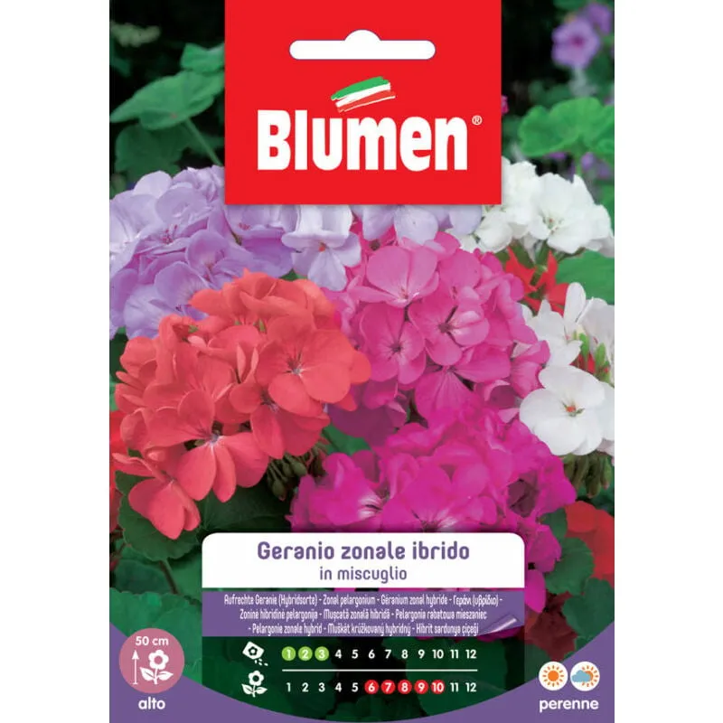 Semi Geranio Zonale Ibrido In Mix Blumen