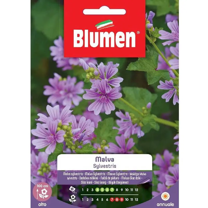 Blumen - Semi di Malva Sylvestris