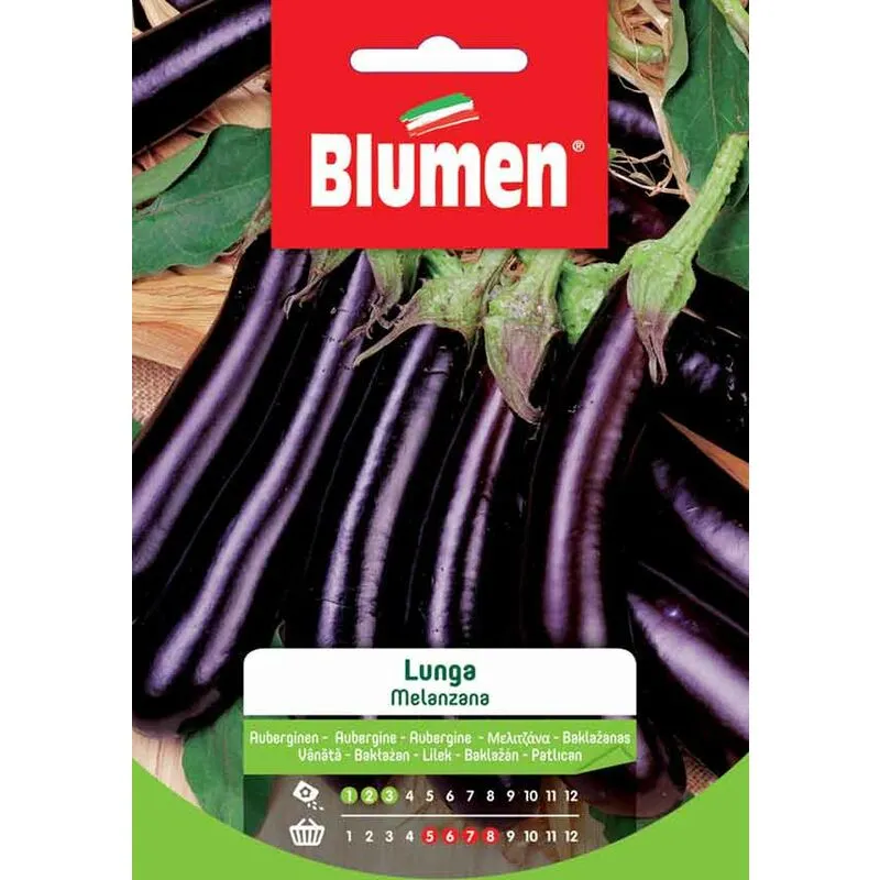 Blumen - semi melanzana lunga