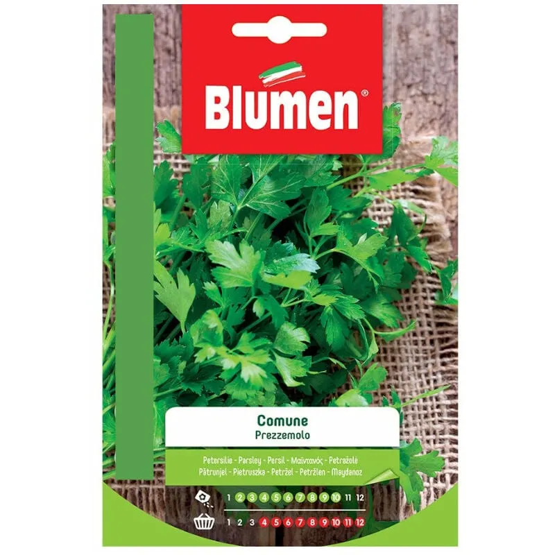 Blumen - semi prezzemolo comune sementi orto