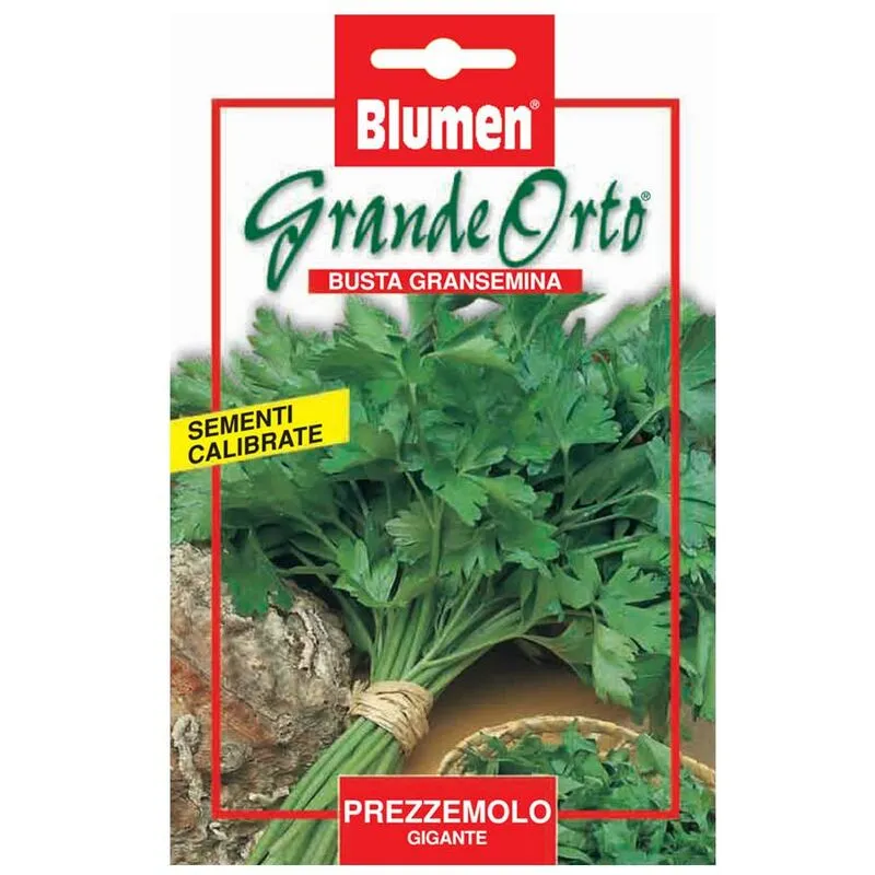 Blumen - semi prezzemolo gigante maxi orto