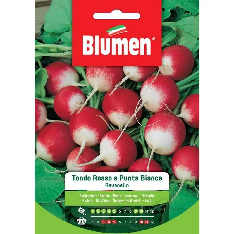 Blumen - semi ravanello rosso tondo a punta bianca