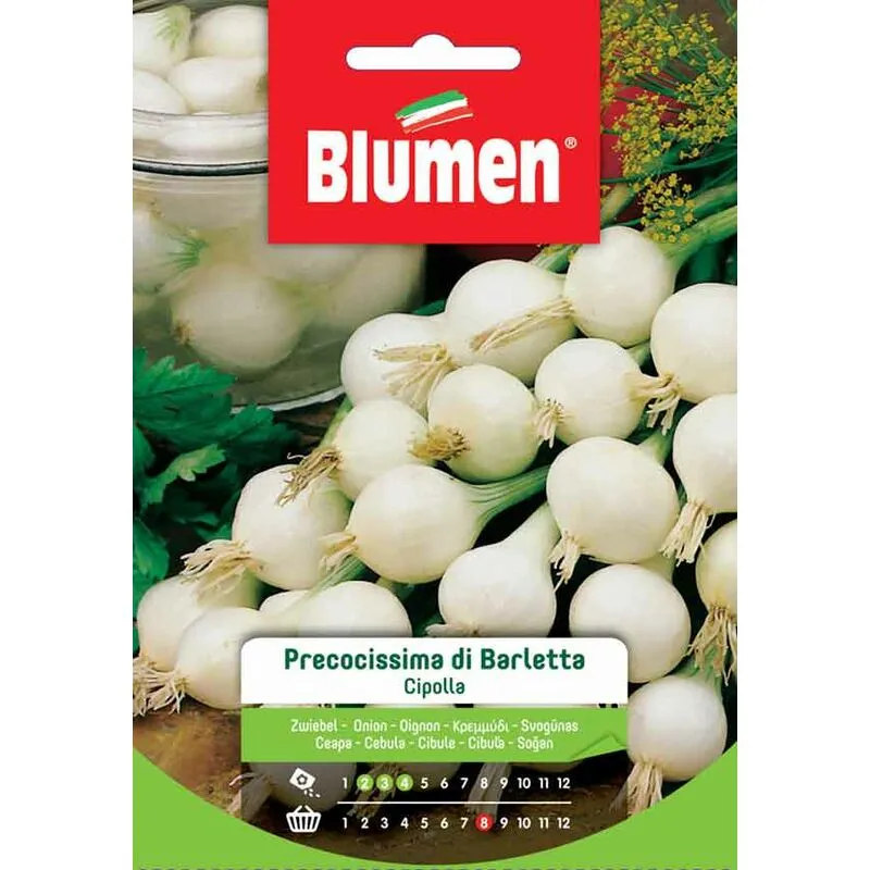 Blumen. Semi di Cipolla Precocissima di Barletta