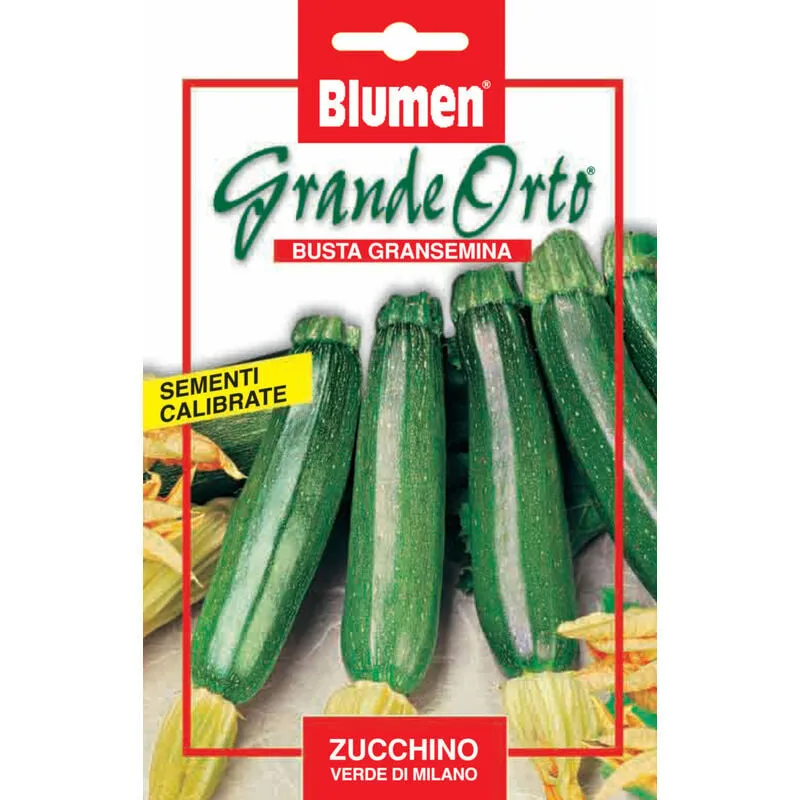 Blumen - semi zucchino verde di milano