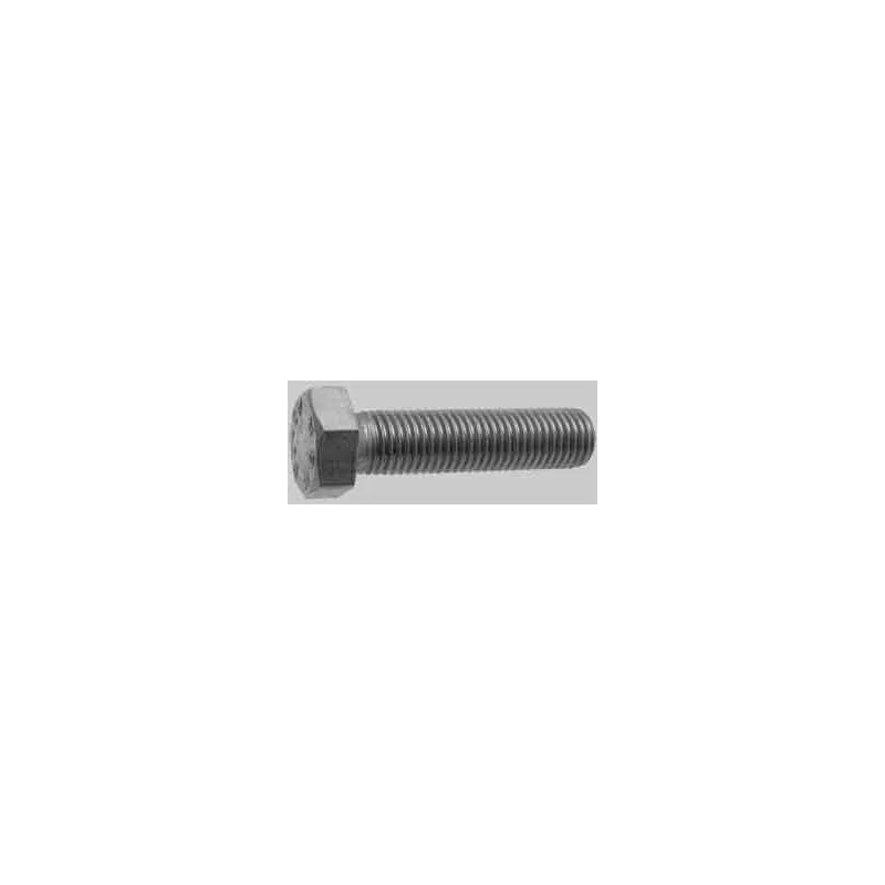 Bullone t.e. inox 12x25